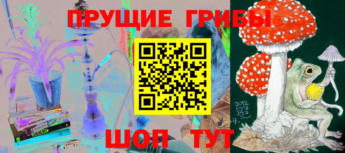 купить наркотик  Псилоцибиновые грибы Magic Shrooms  Вход с VPN  Лесозаводск 